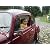  Volkswagen :Thumbnail 18