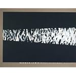 Norman Lewis: Black Paintings, 1946-1977 book cover