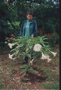 Image of Gunilla Fagerholm