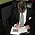 Thumbnail image of William Kuhn
