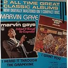 I Heard It Through the Grapevine I Want You by Marvin Gaye