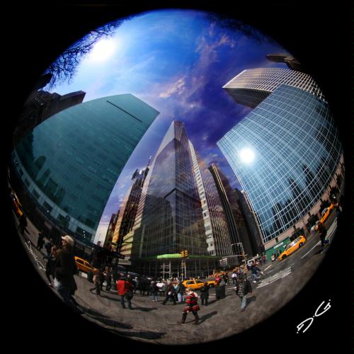 Amazon.com: Sigma 8mm f\/3.5 EX DG Circula