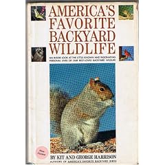 America's Favorite Backyard Wildlife