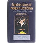 Reproductive Biology and Phylogeny of Chondrichthyes: Sharks, Batoids and Chimaeras... by William C. Hamlett