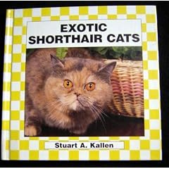 Exotic Shorthair Cats (Cats Set II)