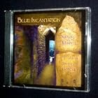 Blue Incantation by  Jerry Garcia and Sanjay Mishra 