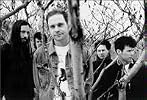 The Tragically Hip