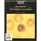 Microorganisms: From Smallpox to Lyme Disease by Thomas D. Brock