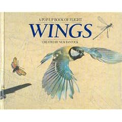 Wings: Pop-up Book of Flight