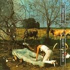 Click here to buy Caught a Lite Sneeze by  Tori Amos .