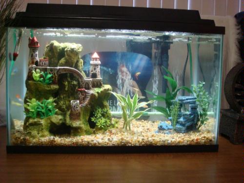 Aquarium Air Pumps Tetra 77851 Whisper Air