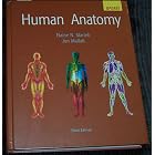 Human Anatomy by 