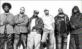 The Roots