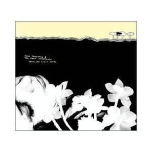 Bavarian Fruit Bread by Hope Sandoval and Warm Inventions (Audio CD - 2005)