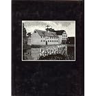 Batsford Book of Canvas Work by Mary Rhodes