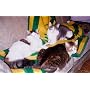 Why Do Cats Always Land on Their Feet?: 101 of the&hellip by Marty Becker