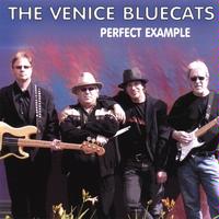 Perfect Example by  The Venice Bluecats 