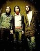 The Cribs