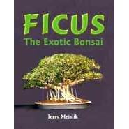 Ficus : The Exotic Bonsai