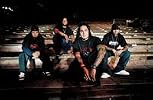 P.O.D.