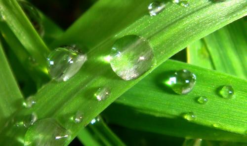 Amazon.com: Sony Cybershot DSC-T70 8.1MP