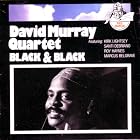 Black and Black by David Murray