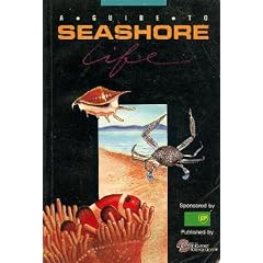 A Guide to Seashore Life