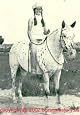 Jan Haddle