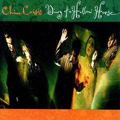 Diary of a Hollow Horse
