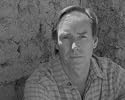 Jim Fergus