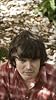 Bibio