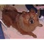 Teddy Bear's Joyful Jig (Gigue) - From Brown Bag B&hellip <a href="http://www.amazon.com/Teddy-Bears-Joyful-Jig-Gigue/dp/artist-redirect/B0014NGJ8Y">The Candlelight Guitarist</a><span class="byLinePipe"> | </span><span class="byLinePipe">Format:</span> MP3 Music