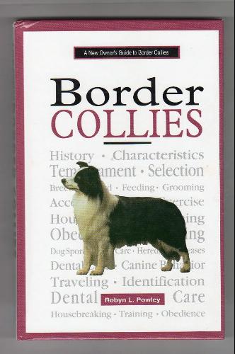 A New Owner's Guide to Border Collie