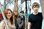 Shearwater