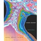 Human Anatomy (Instructor's Copy) by 