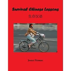 Survival Chinese Lessons