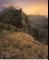 Biology: The Unity and Diversity of Life, Enhanced Homework Edition (with Cover Sheet, Essential Study Skills, and Audio Book PAC, BiologyNOW�-Personal ... InfoTrac� 2-Semester, iLrn� PAC)