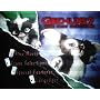 Gremlins 2 - The New Batch <b>DVD</b> ~ Zach Galligan