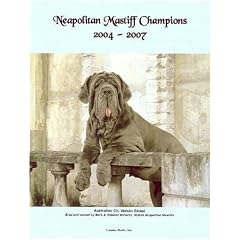 Neapolitan Mastiff Champions, 2004-2007