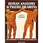 Human Anatomy and Figure Drawing: The Integration of Structure and Perspective by Jack N. Kramer