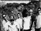 (Hed) Pe