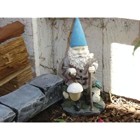 Solar Light, Gnomes
