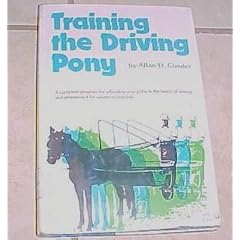 Training the driving pony