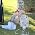 Thumbnail image of Nicole Storey