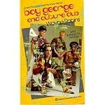 Culture Club book cover