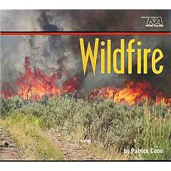 Wildfire (Nature in Action)