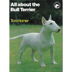 All About the Bull Terrier