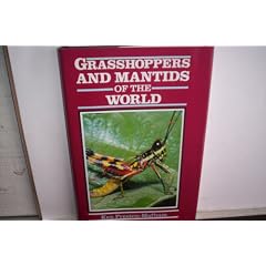 Grasshoppers and Mantids of the World (Of the World Series)
