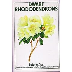 Dwarf Rhododendrons