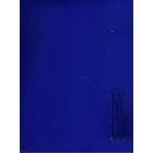 Click here to buy New York City Ballet Souvenir Book 1980 by  New York City Ballet.